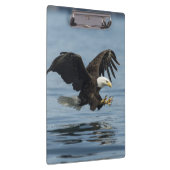 Eagle on Approach Klembord (Rechts)