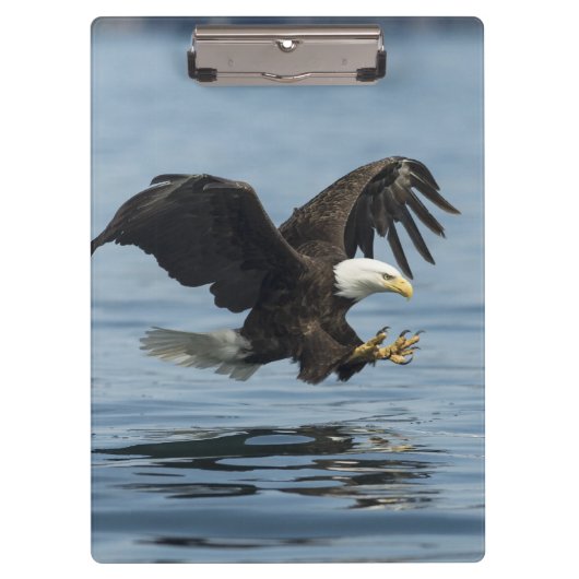 Eagle on Approach Klembord (Voorkant)
