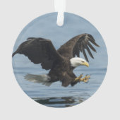 Eagle on Approach Ornament (achterkant)