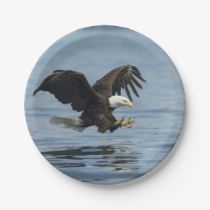 Eagle on Approach Papieren Bordje