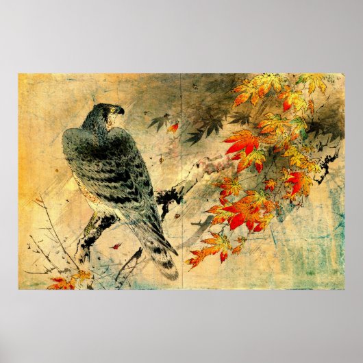 Eagle on Maple Branch 1884 Poster (Voorkant)