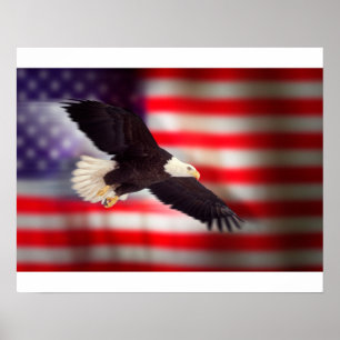 Eagle over het Amerikaanse Poster van de vlag