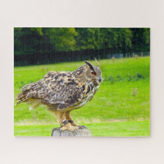 Eagle Owl-Bird of Prey. Legpuzzel (Horizontaal)