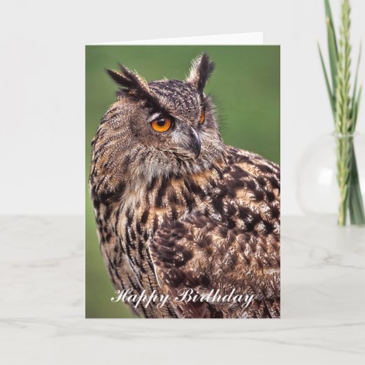 Eagle Owl - Bonne carte de voeux d'anniversaire (Devant)