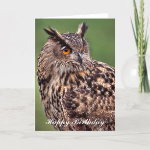 Eagle Owl - Bonne carte de voeux d'anniversaire