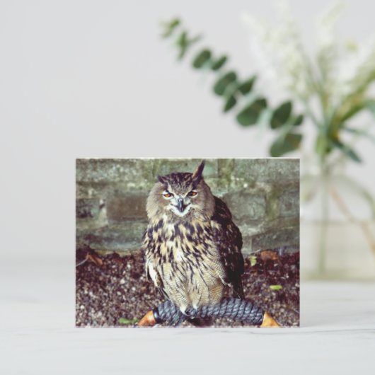 Eagle Owl Briefkaart (Staand voorkant)