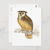 Eagle Owl Briefkaart (Voorkant / Achterkant)