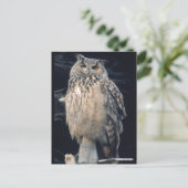 Eagle owl briefkaart (Staand voorkant)