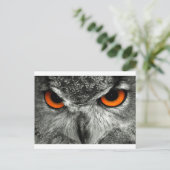 Eagle Owl Briefkaart (Staand voorkant)