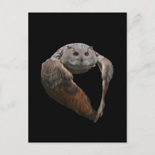 Eagle Owl Briefkaart