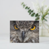 Eagle Owl Briefkaart (Staand voorkant)