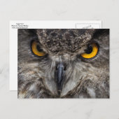 Eagle Owl Briefkaart (Voorkant / Achterkant)