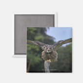 Eagle Owl (Bubo bubo) Magneet (Voorkant / Achterkant)