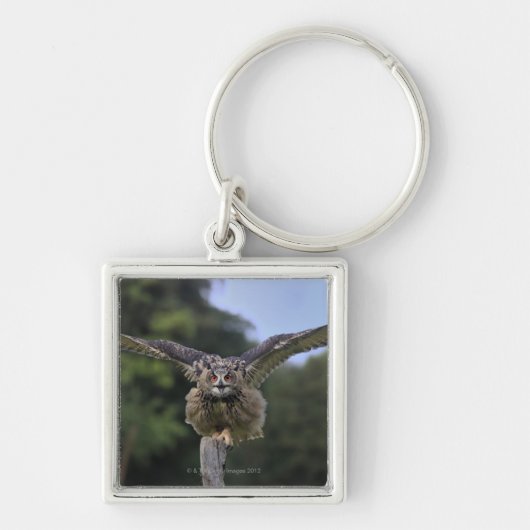 Eagle Owl (Bubo bubo) Sleutelhanger (Voorkant)