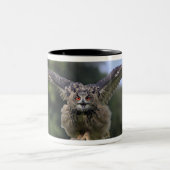 Eagle Owl (Bubo bubo) Tweekleurige Koffiemok (Center)