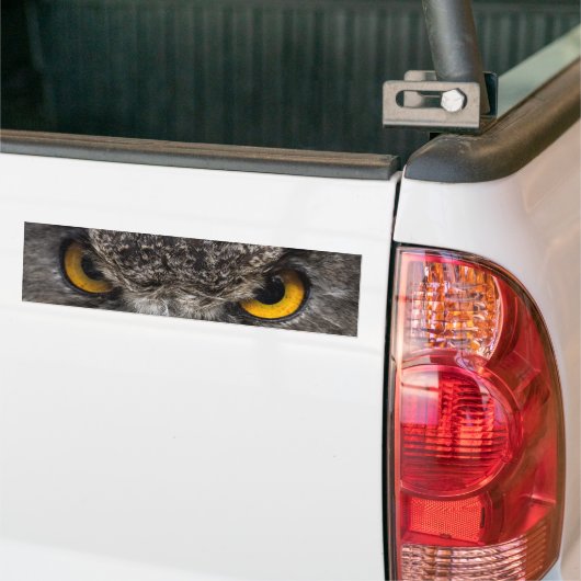 Eagle Owl Bumpersticker (Op Truck)