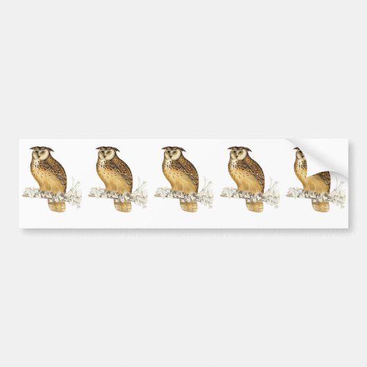 Eagle Owl Bumpersticker (Voorkant)