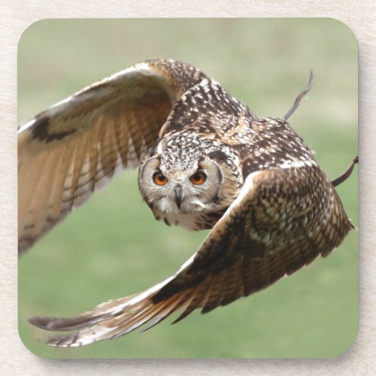 Eagle Owl in vlucht Bier Onderzetter (Voorkant)