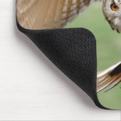 Eagle Owl in vlucht Muismat (Hoek)