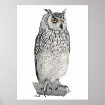 Eagle Owl Pencil Tekening