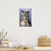 Eagle owl poster (Keuken)