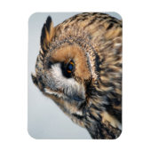 Eagle Owl Premium magneet (Verticaal)