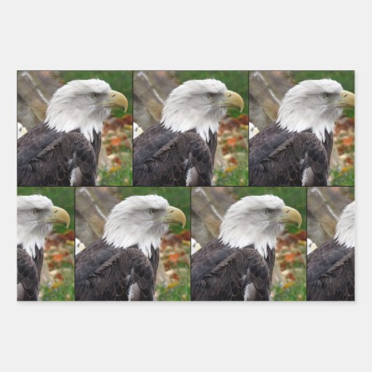 Eagle - Papierbladen met onmiddellijke verpakking Inpakpapier Vel (Voorkant)