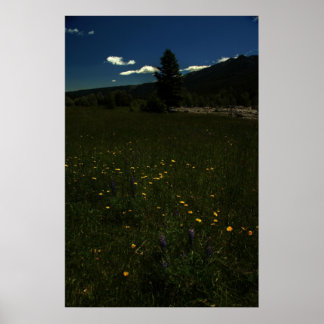 Eagle Park Wildbloemen Poster