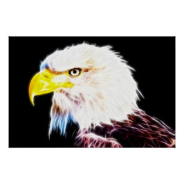 Eagle Perfect Poster