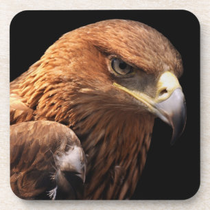 Eagle portret geïsoleerd op zwart drankjes onderzetter