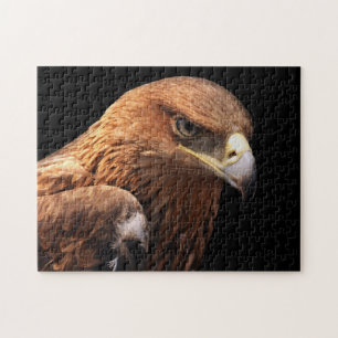 Eagle portret geïsoleerd op zwart legpuzzel