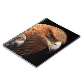Eagle portret geïsoleerd op zwart notitieboek (Linkerzijde)