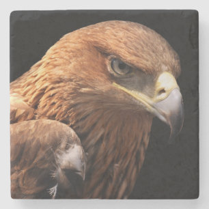 Eagle portret geïsoleerd op zwart stenen onderzetter