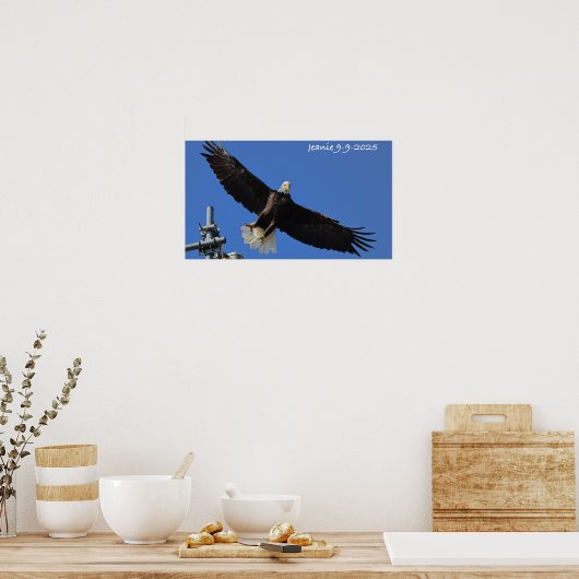 Eagle Poster (Keuken)