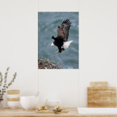 Eagle Poster (Keuken)