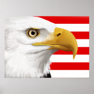 Eagle Poster
