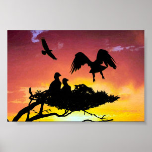 Eagle Poster