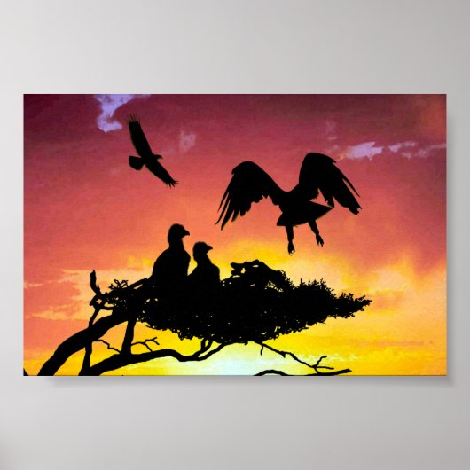 Eagle Poster (Voorkant)