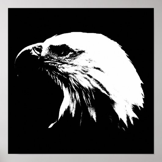 Eagle Poster (Voorkant)