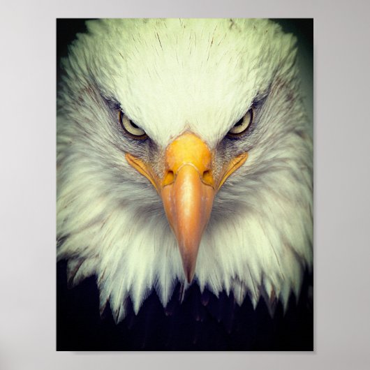 Eagle Poster (Voorkant)
