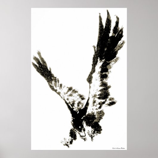 Eagle Print (Voorkant)