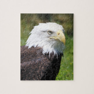 Eagle Puzzle Legpuzzel