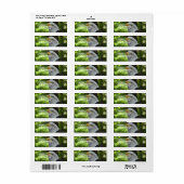 Eagle retouradres-mailinglabel etiket (Full Sheet)