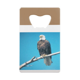 Eagle Roestvrij staal Credit Kaart Bottle Opener Kredietkaart Flessenopener