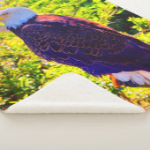 Eagle Sherpa Deken (3/4)