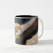 Eagle-snack Tweekleurige Koffiemok (Voorkant rechts)