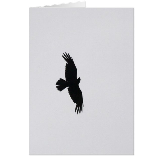 Eagle Soar (Voorkant)