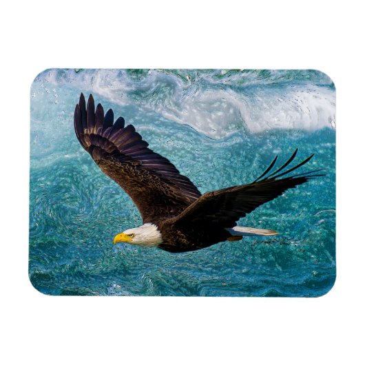 Eagle Soaring boven het Storm Magneet (Horizontaal)