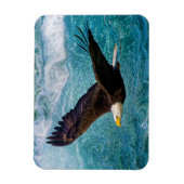 Eagle Soaring boven het Storm Magneet (Verticaal)