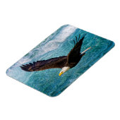 Eagle Soaring boven het Storm Magneet (Linkerzijde)